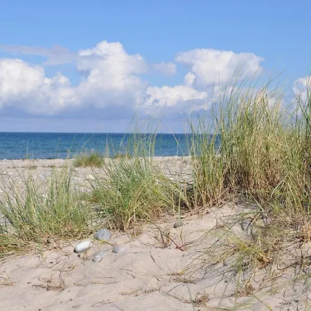 Burgtiefe Suedstrand Penthouse 